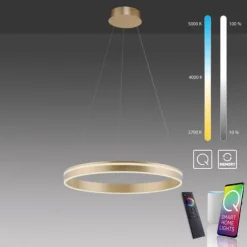 Paul Neuhaus, Q-VITO, LED Pendelleuchte, Ø59cm, Smart Home