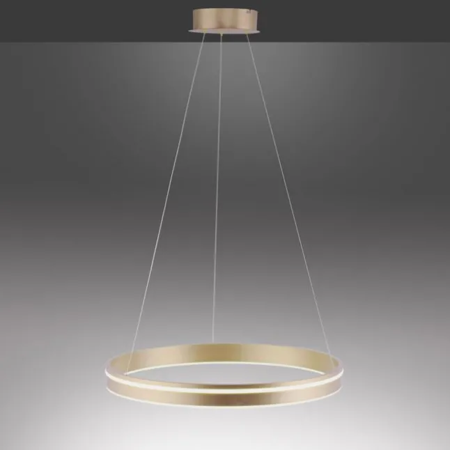Paul Neuhaus, Q-VITO, LED Pendelleuchte, Ø59cm, Smart Home