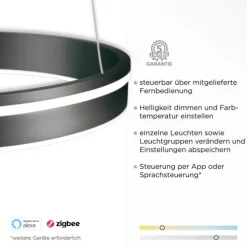 Paul Neuhaus, Q-VITO, LED-Pendellleuchte, anthrazit, Ø 79 cm, Smart Home