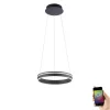 Paul Neuhaus, Q-VITO, LED-Pendellampe, anthrazit, Ø 40cm, Leuchtring
