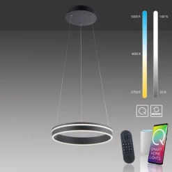 Paul Neuhaus, Q-VITO, LED-Pendellampe, anthrazit, Ø 40cm, Leuchtring