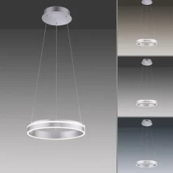 Paul Neuhaus, Q-VITO, LED-Pendelleuchte, Ringform, Ø 40cm, Smart Home