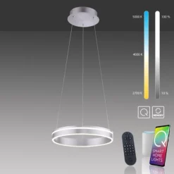 Paul Neuhaus, Q-VITO, LED-Pendelleuchte, Ringform, Ø 40cm, Smart Home