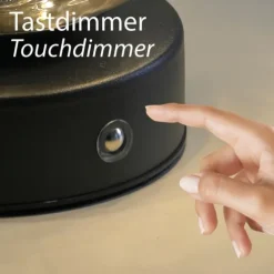 Paul Neuhaus Tischleuchte FADAS schwarz,