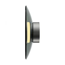 Paul Neuhaus Wandleuchte PURE Moon platin dimmbar Wohnzimmer Küche