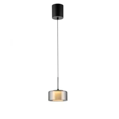 Pendelleuchte LED RIKA 1 flammig schwarz Comfort Lift Simply Dim