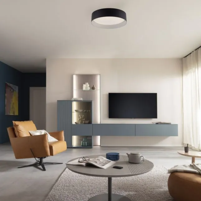 Schöner Wohnen-Kollektion LED Deckenleuchte TAVOLI, schwarz, rund D=28,5cm, dimmbar, Fernbedienung
