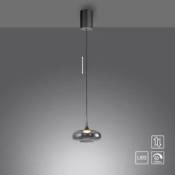 Schöner Wohnen-Kollektion LED Pendelleuchte POSH, grau, 1-flammig, dimmbar