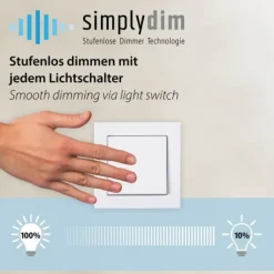 Schöner Wohnen-Kollektion LED Wand- und Deckenleuchte POSH, grau, dimmbar