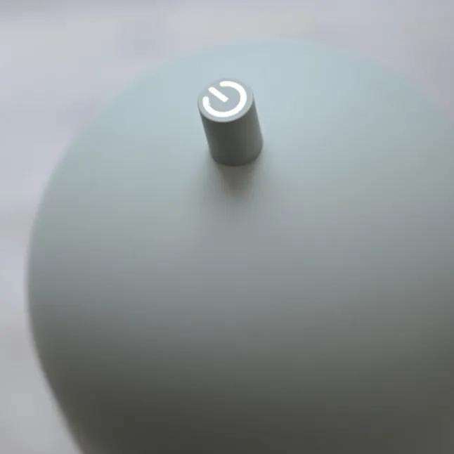 Schöner Wohnen-Kollektion LED Akku Stehleuchte BELLIES, Frühlingserwachen, aufladbar, USB-Ladekabel