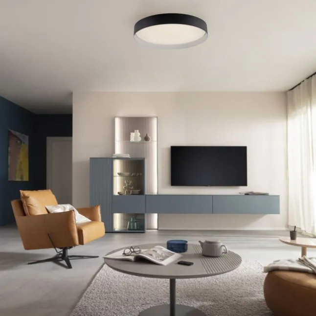 Schöner Wohnen-Kollektion LED Deckenleuchte TAVOLI, schwarz, rund D=49cm, dimmbar, Fernbedienung