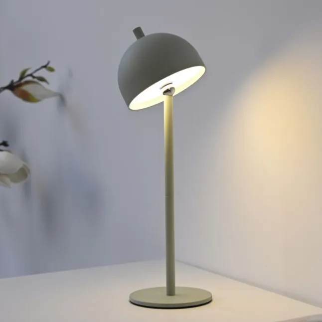 Schöner Wohnen-Kollektion LED Akku Tischleuchte BELLIES, Frühlingserwachen, aufladbar, USB-Ladekabel