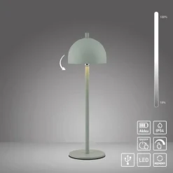 Schöner Wohnen-Kollektion LED Akku Tischleuchte BELLIES, Frühlingserwachen, aufladbar, USB-Ladekabel