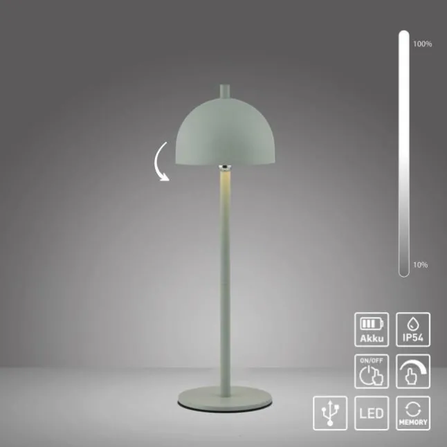 Schöner Wohnen-Kollektion LED Akku Tischleuchte BELLIES, Frühlingserwachen, aufladbar, USB-Ladekabel