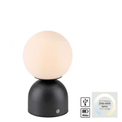 Schöner Wohnen-Kollektion LED Akku Tischleuchte RUDI, schwarz, USB-Ladekabel