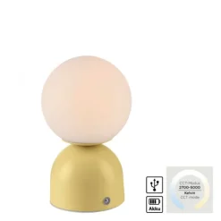 Schöner Wohnen-Kollektion LED Akku Tischleuchte RUDI, Blütenzauber, USB