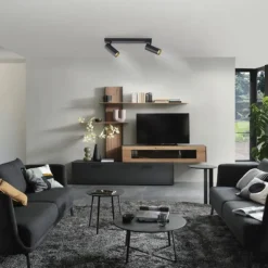 Schöner Wohnen-Kollektion LED Deckenleuchte RIK, schwarz, 2-flammig, drehbar