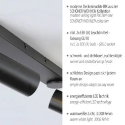 Schöner Wohnen-Kollektion LED Deckenleuchte RIK, schwarz, 2-flammig, drehbar