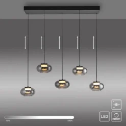 Schöner Wohnen-Kollektion Pendelleuchte SIA schwarz, 5-flammig, Rauchglas, dimmbar